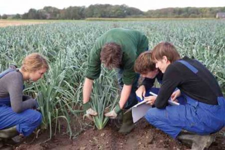 Summer Program Encourages Agriculture Careers Image